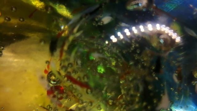 ТЫ МЕНЯ НИКОГДА НЕ ПРОГОНИШЬ. МАРИНА ЦВЕТАЕВА. СТИХИ О ЛЮБВИ ЧИТАЕТ ОЛЬГА ШУБИНА 15.02.2021 18 + смотреть онлайн