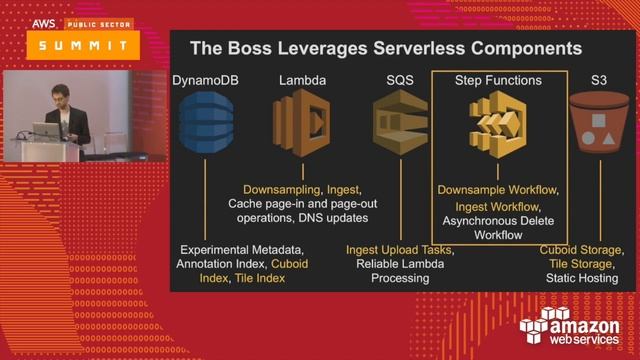 The Boss: A Petascale DB for Large-Scale Neuroscience Powered by Serverless Advanced Technologies смотреть онлайн