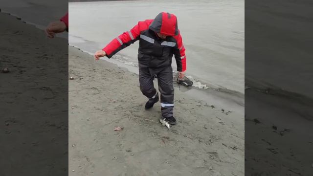 Рыбалка на Оби. Думали рыбы не будет. смотреть онлайн