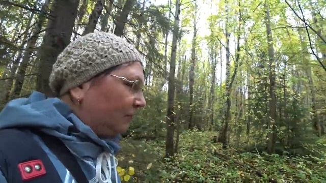 По грибы в лес. Набрали красных! 20 сент 2022 Пермь. смотреть онлайн