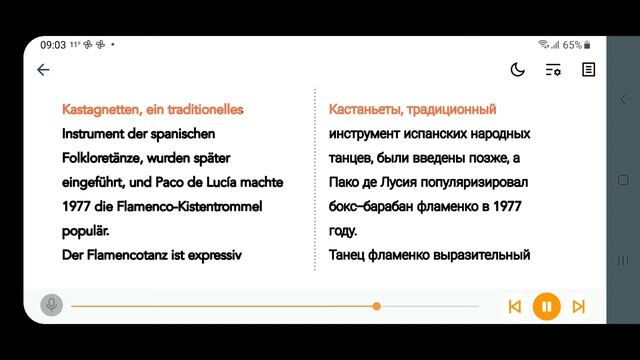 Gesang, Tanz, Gitarre – Drei Bestandteile Des Flamenco. Пение, танец, гитара - три составляющих.