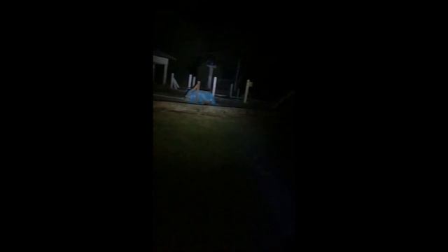 LANTERNA/FAROL Y10 LED смотреть онлайн