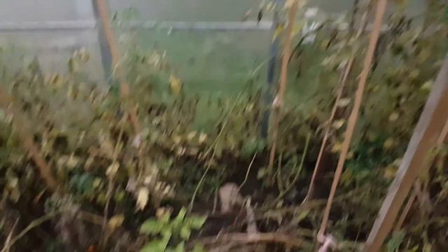 Табачная шашка Дымокур смотреть онлайн