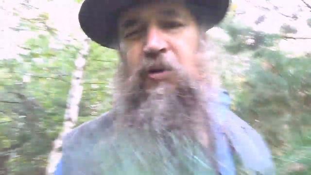 Грибная охота 5 где прячутся белые смотреть онлайн