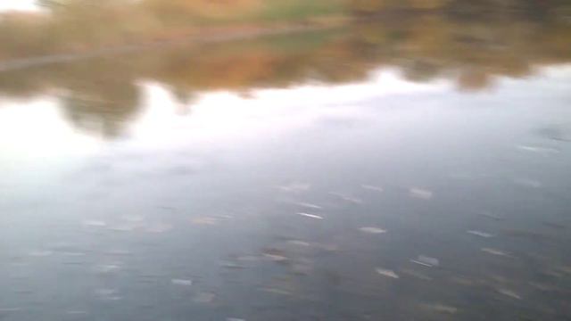 Ловля ротана в луже смотреть онлайн