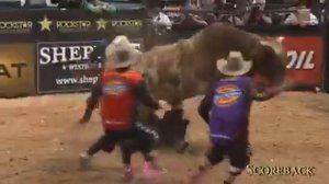 Жуть, верхом на быке, а кто спросил быка