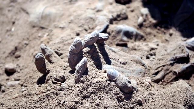 НЕОБЫЧНЫЕ МЕСТА, ГДЕ БЫЛИ НАЙДЕНЫ ТРУПЫ смотреть онлайн