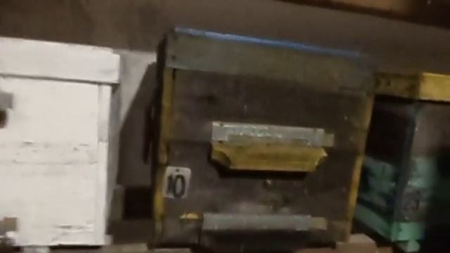 Пчелы в зимовнике . смотреть онлайн