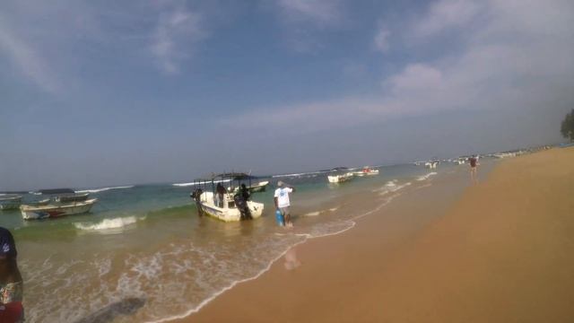 Морские черепахи в Хиккадуве, Шри Ланка смотреть онлайн