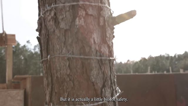 BUILDING THE WILDEST BMX SETUP FOR SWAMPFEST 2024 - DIG BMX смотреть онлайн