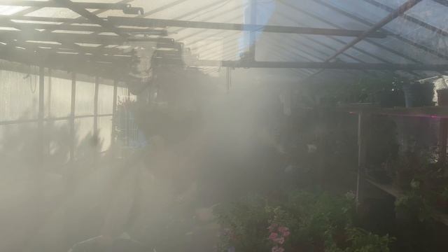 Опрыскиватель туманообразующий (генератор холодного тумана) для обработки теплиц и не только. смотреть онлайн