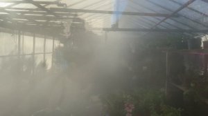 Опрыскиватель туманообразующий (генератор холодного тумана) для обработки теплиц и не только.