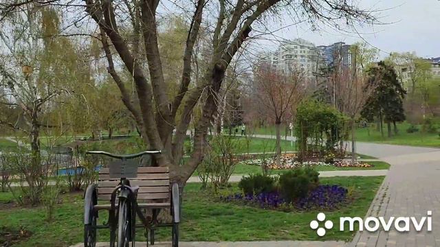 Ситуация в Одессе,22 апреля! Не цветет в этом году сакура! Обычно в это время разгар цветения! смотреть онлайн