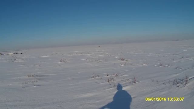 Охота на зайца счастливый заяц 3 раза осечка. смотреть онлайн