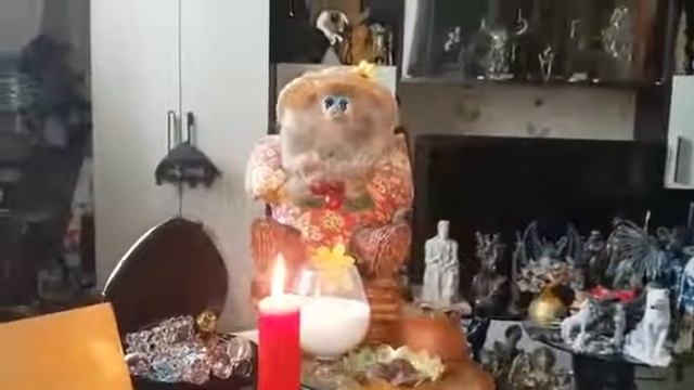Ритуал задобрить Домового. смотреть онлайн