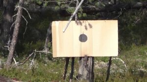 ЧТО МОЖЕТ КАРАБИН ВЕПРЬ/СУПЕР КУЧНОСТЬ/ПРИСТРЕЛКА ОРУЖИЯ ПЕРЕД ОХОТОЙ-СЮРПРИЗ ХЕЙТЕРАМ!))