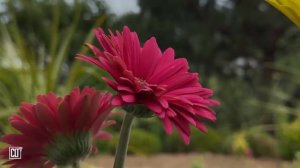 В Слове Господа мы можем УСПОКОИТЬСЯ, ОТДОХНУТЬ и РАССЛАБИТЬСЯ _ Библия перед сном _ Relaxing