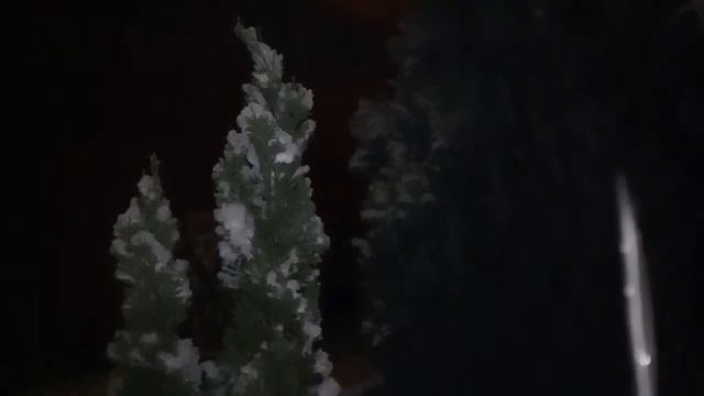 Chamaecyparis lawsoniana in snow: Václav Kovalčík, Zlín смотреть онлайн