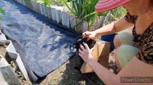 Дорожки в огороде! Бюджетно. Легко. Под силу каждому.