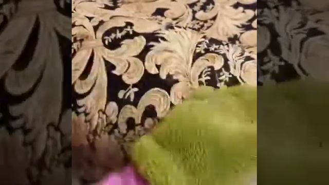 Как убрать шерсть животных с дивана быстро смотреть онлайн
