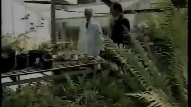 sustainable agriculture-The Power of SC-27 смотреть онлайн