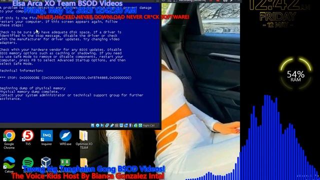 @omv555 Cut Hair Has BSOD VM! смотреть онлайн