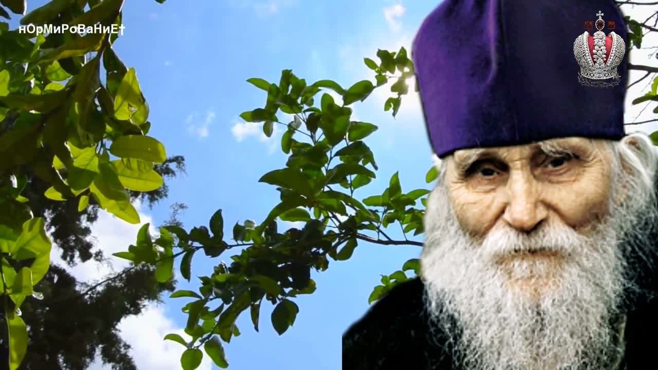 Царские останки сожгли. Старец Николай Гурьянов. Живой голос. смотреть онлайн
