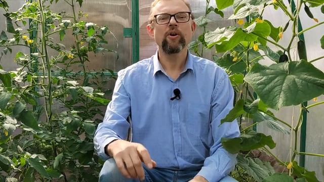 От вершинной гнили + увеличение завязей + подкормка - всё это в одной смеси! смотреть онлайн