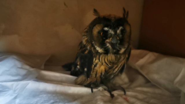 КАК ДЕЛАТЬ НЕ НАДО! смотреть онлайн