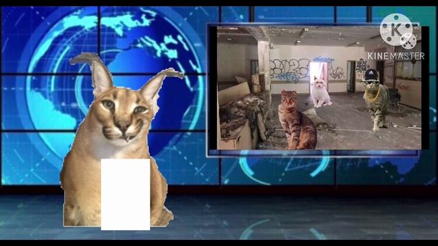 Новости о канале #3 смотреть онлайн