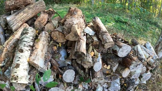 Собираем дрова на зиму. Чем приходится топить. Цены космос смотреть онлайн