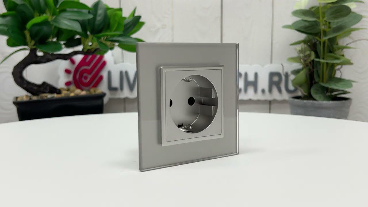 Розетка электрическая LIVOLO, зажимы, серая, VL-FCTC16A-2IPS01