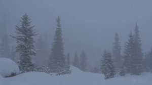 Подарок на Рождество | РУХ БУЧИЛА