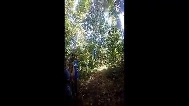 Update And Happy Early Holidays! WARNING: VERY BAD QUALITY DUE TO VERY OLD NETBOOK