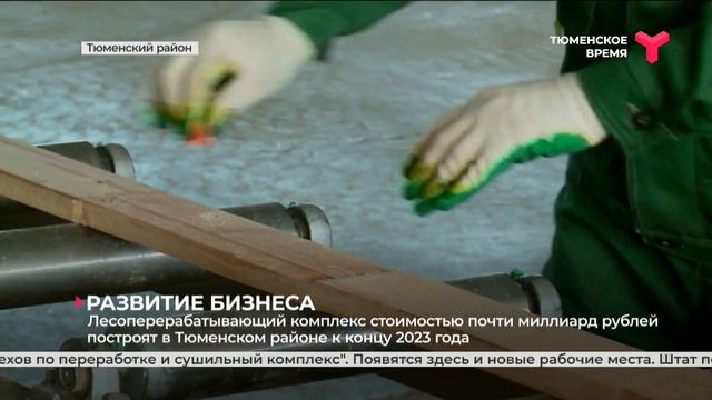 Инвестиции идут в лес смотреть онлайн