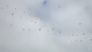 Д-10 прыжки с Ил 76 десантирование