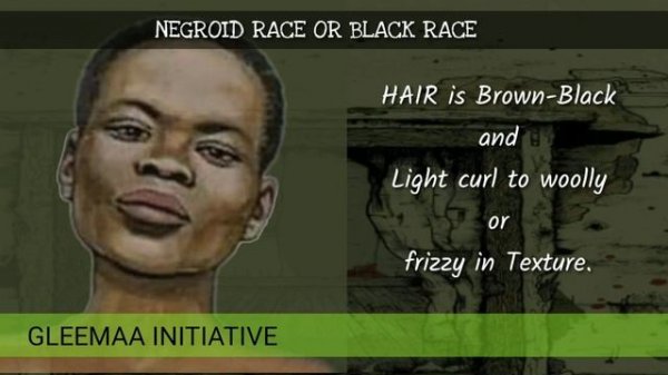 HUMAN RACES OF THE WORLD// Project - 008