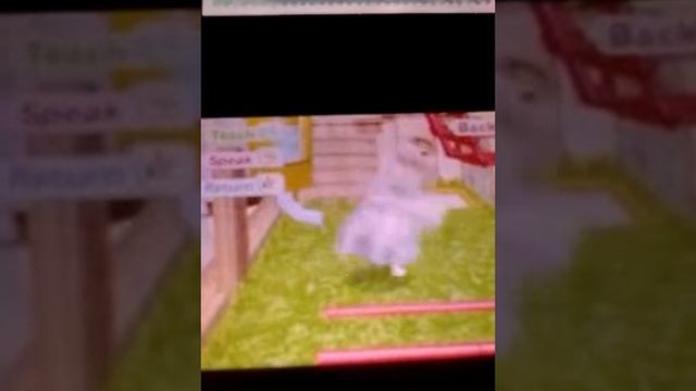 Hamsterz life !! смотреть онлайн