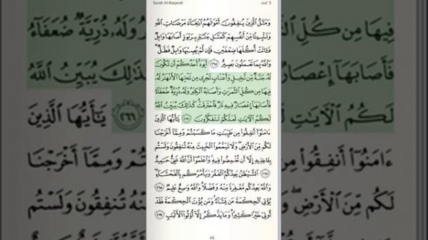 Quran | Juzu 3 | Page 45 | Surah Baqarah Verse 265-269 | Qari Bandar Baleela