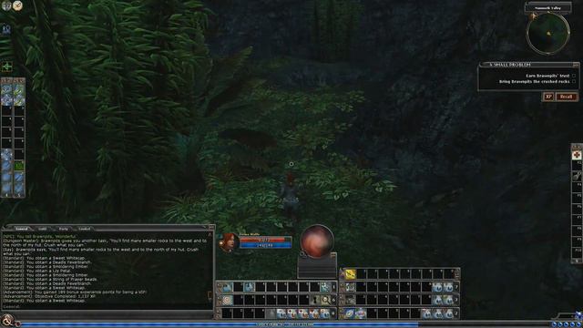 Dungeons & Dragons Online: A Small Problem - Casual смотреть онлайн