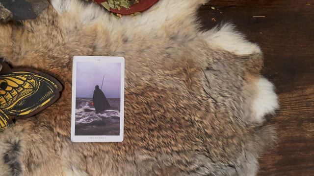 Tarot & Bibliomancy in Practice. A rare share from my exclusive patreon archive. смотреть онлайн