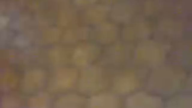 такого вы ещё не видели смотреть онлайн