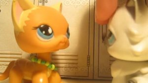 LPS: 10 ТИПОВ LPS-БЛОГГЕРОВ