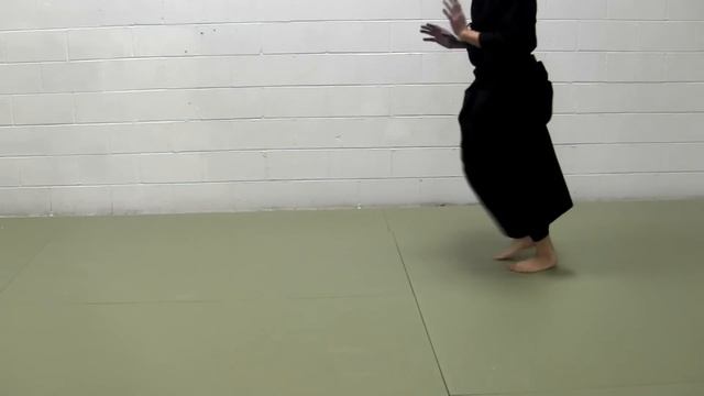 16 Kendo Basics II: Suri Ashi Okuri Ashi
