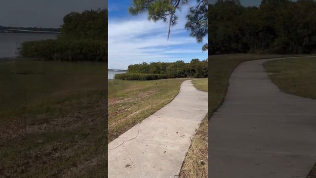 Обычные пейзажи Флориды, не знаю как вам, но я их обожаю 🥰 смотреть онлайн