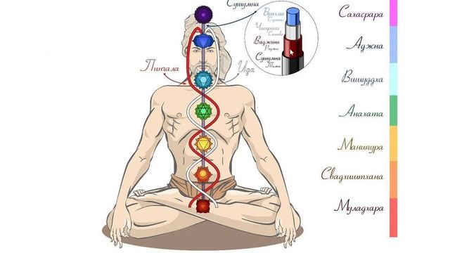 ? Kundalini Class. Урок №28. Пранамайя-коша. Вьяна-вайю. Нади каналы. Чакры смотреть онлайн