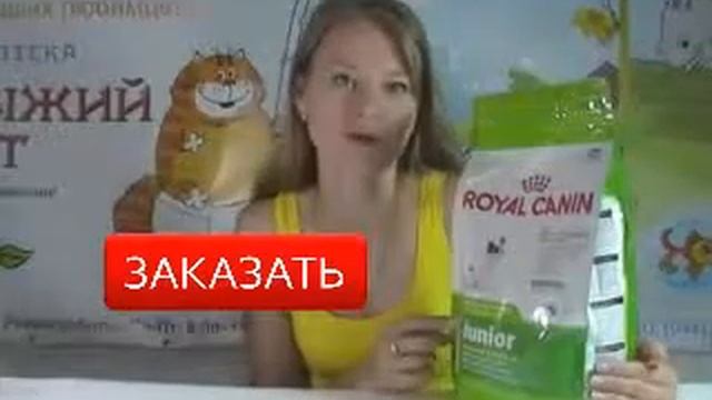 Сухой корм для собак Royal Canin X small Junior смотреть онлайн