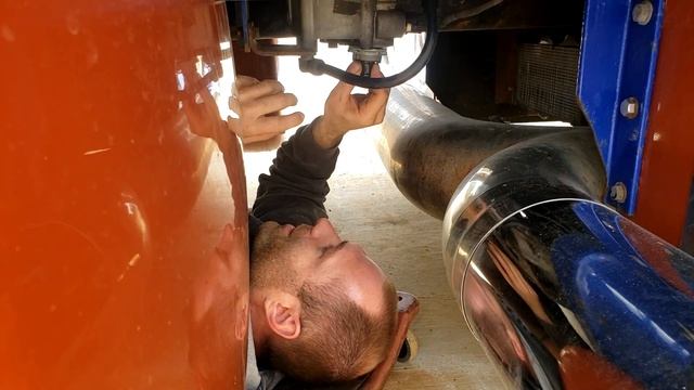 Даже утенок поседел от такой работы. смотреть онлайн