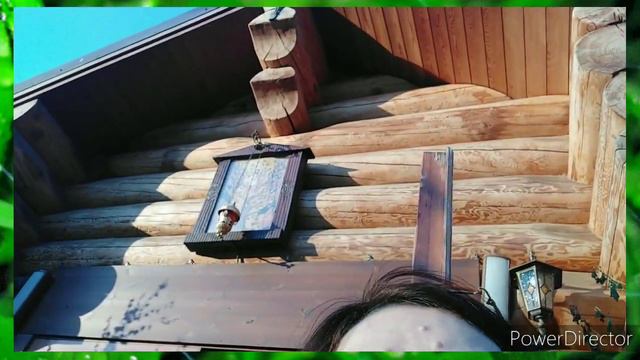 Именно так специально и строили!Как строители храмов обманывали/ют народ. смотреть онлайн