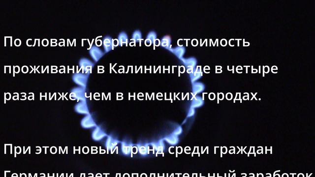 Это стоило ожидать! Бегут как крысы смотреть онлайн